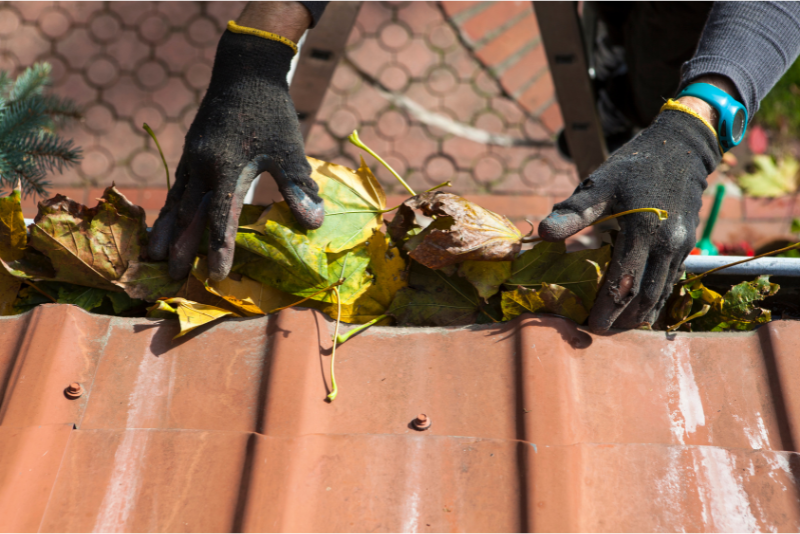 Gutter Cleaning in Orlando Florida